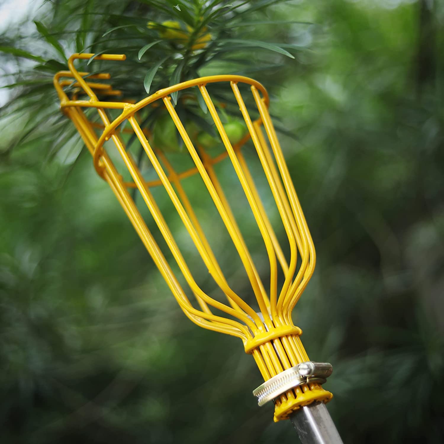 Garden fruit picker tool